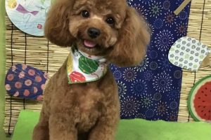８月のお友達☆