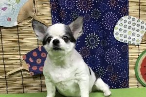 8月のお友達☆