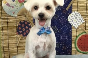 ８月のお友達☆