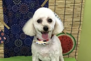 8月のお友達☆