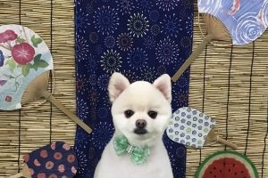 8月のお友達☆