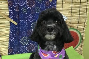 8月のお友達☆