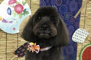 8月のお友達☆