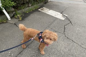 お泊り中☆