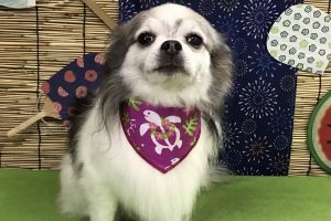 ８月のお友達☆