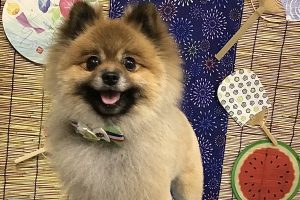 ８月のお友達☆