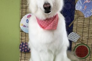 8月のお友達☆