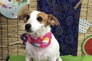 ８月のお友達☆