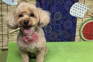 ８月のお友達☆