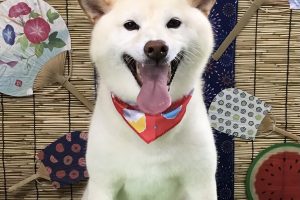8月のお友達☆