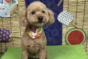 ８月のお友達☆