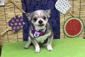 8月のお友達☆
