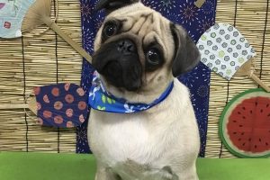 ８月のお友達☆
