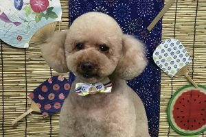 8月のお友達☆