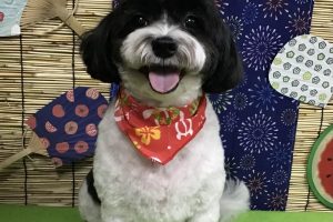 8月のお友達☆