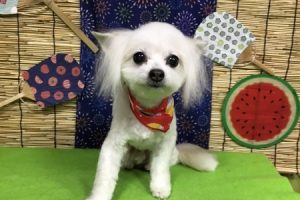 8月のお友達☆