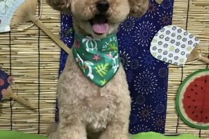 8月のお友達☆