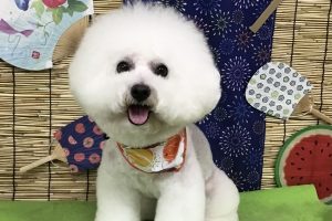 ８月のお友達☆