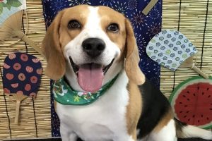8月のお友達☆
