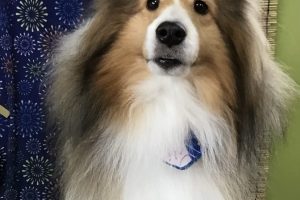 8月のお友達☆