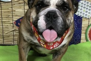 8月のお友達☆
