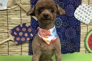 ８月のお友達☆