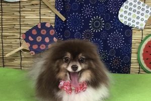 8月のお友達☆