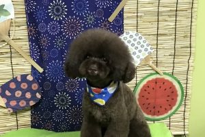 8月のお友達☆