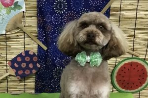 8月のお友達☆