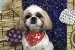 8月のお友達☆