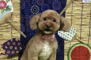 ８月のお友達☆