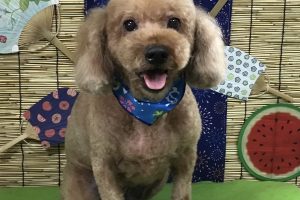 8月のお友達☆