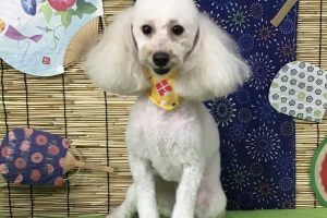 8月のお友達☆