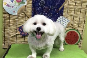 ８月のお友達☆