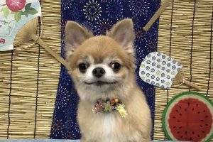 ８月のお友達☆