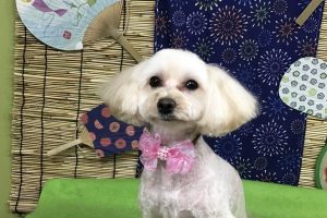 ８月のお友達☆
