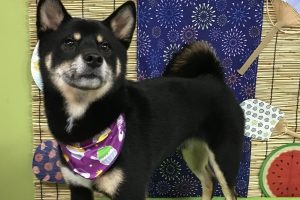 ８月のお友達☆