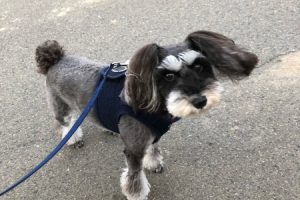 お泊り中☆