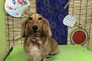 ８月のお友達☆
