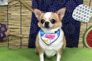 8月のお友達☆
