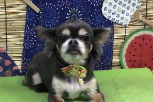 8月のお友達☆