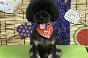 ８月のお友達☆