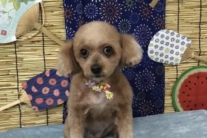 ８月のお友達☆