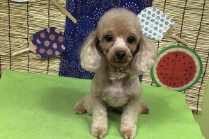 ８月のお友達☆