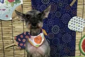 8月のお友達☆