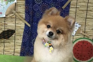 ８月のお友達☆