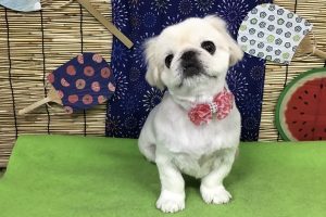 ８月のお友達☆