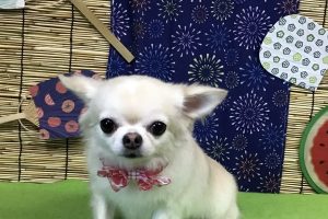 8月のお友達☆