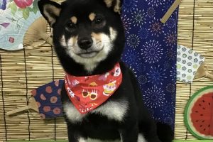 ８月のお友達☆