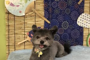 8月のお友達☆